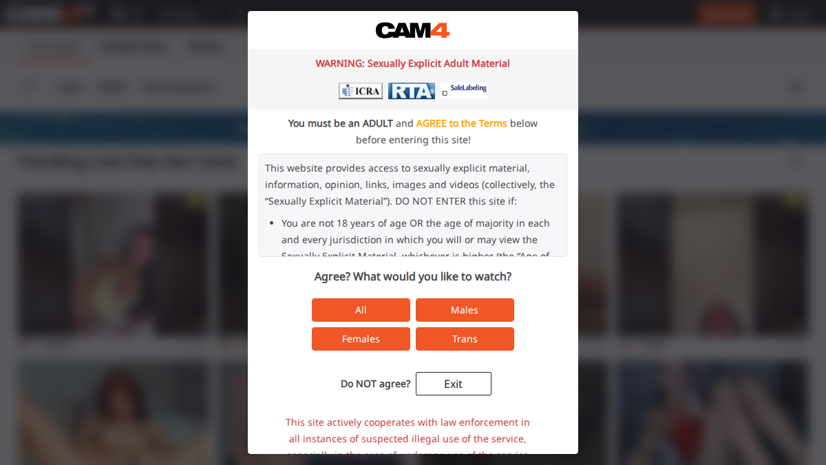 Cam4 网站预览