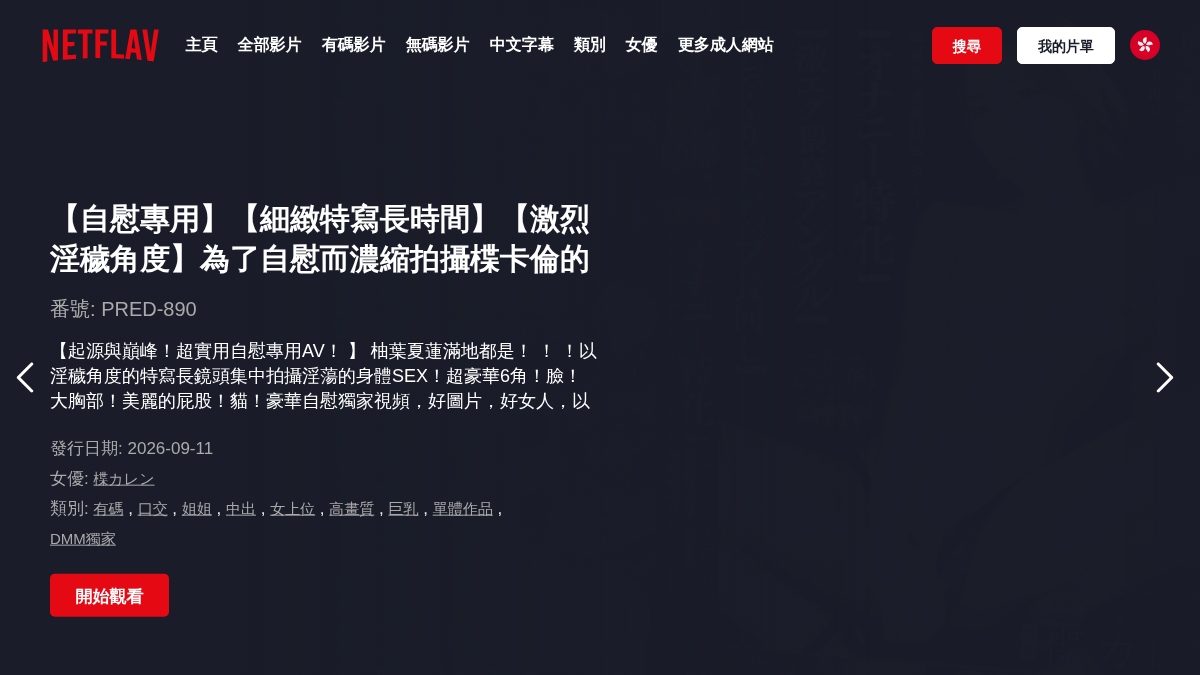 Netflav 网站预览