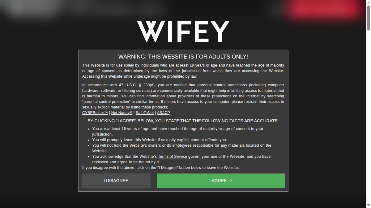 Wifey 网站预览